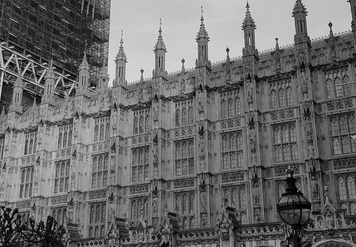 Palace of Westminster. Photo by me, Feb 2020